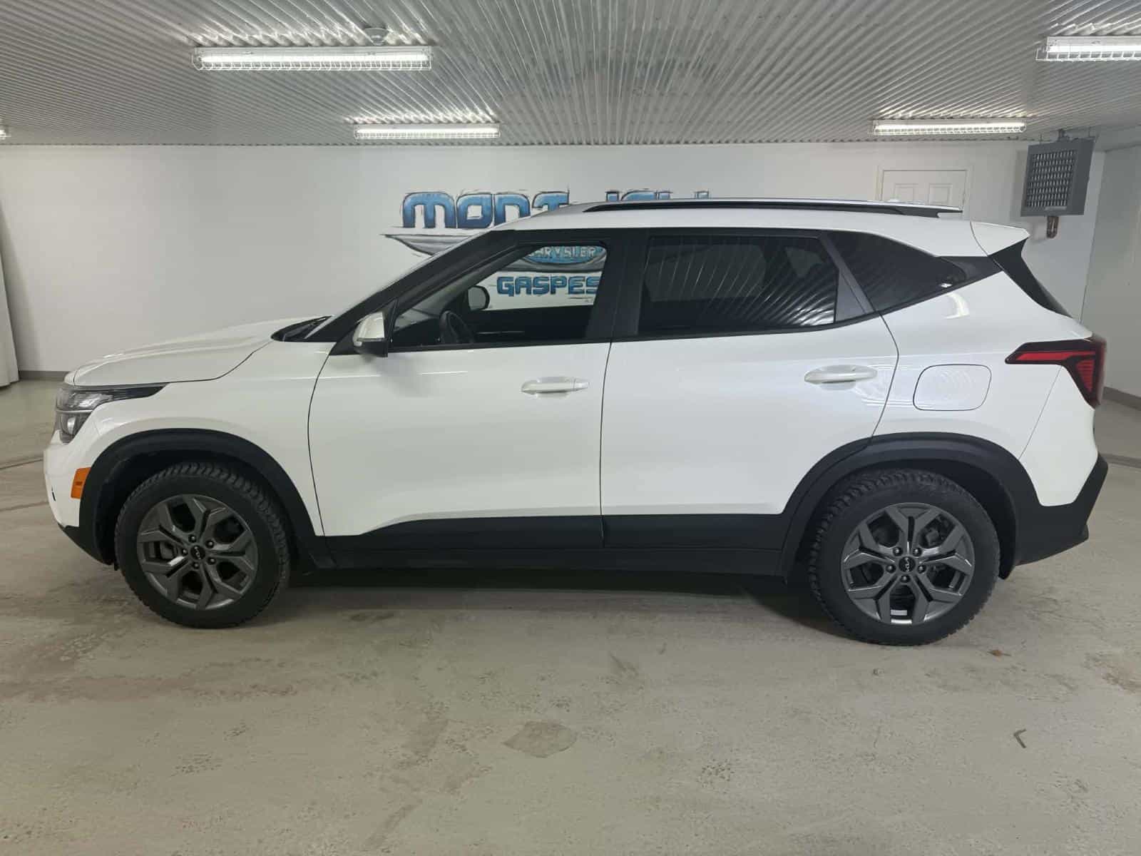 Image 3 Kia SELTOS LX LX 2024