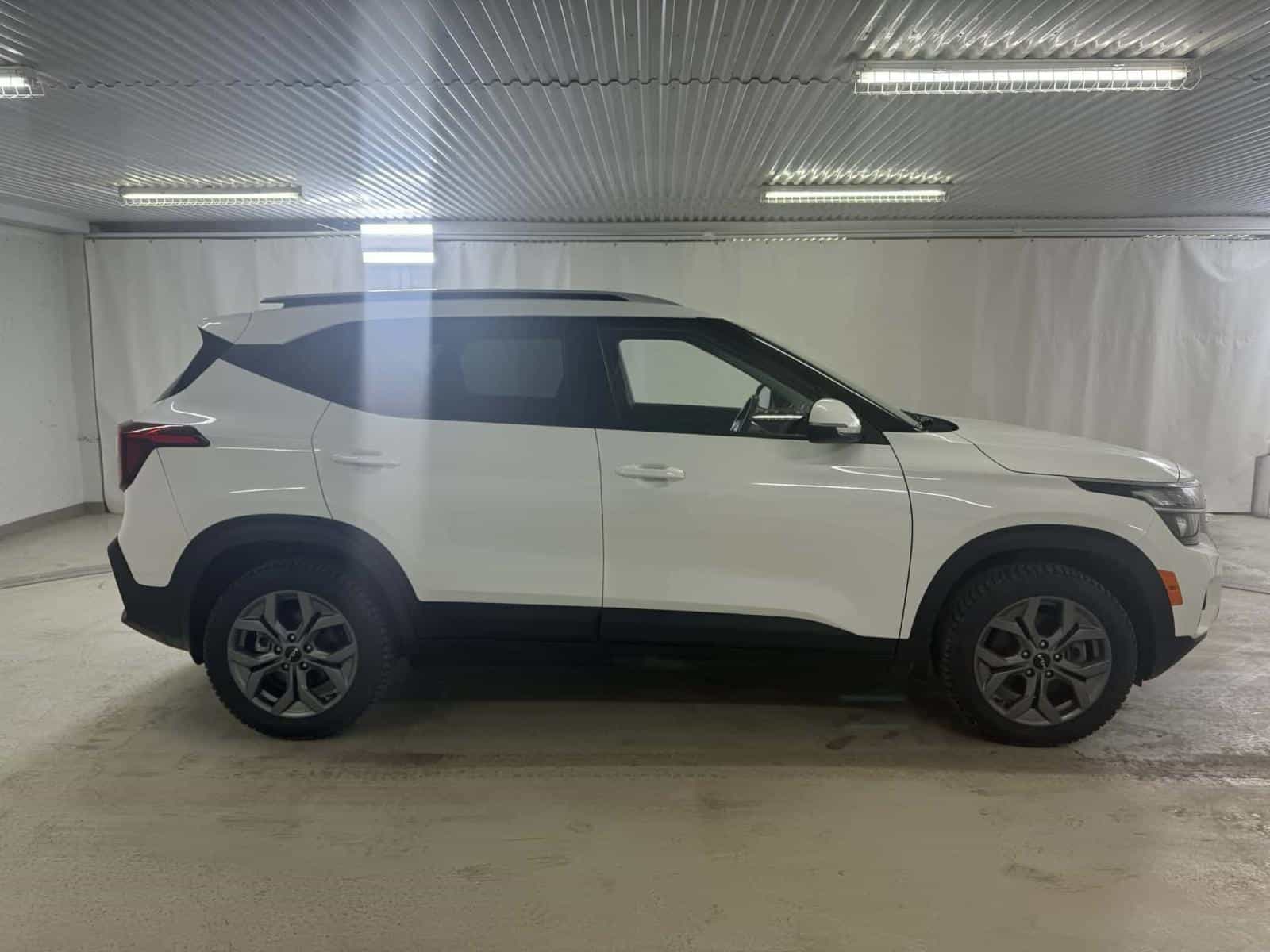 2024 Kia Seltos LX - Image 6